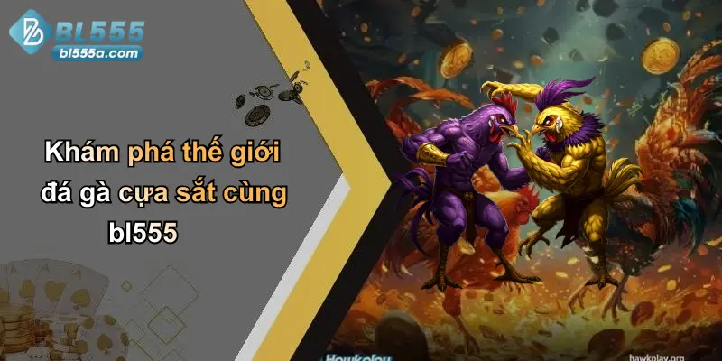 Khám phá thế giới đá gà cựa sắt cùng bl555