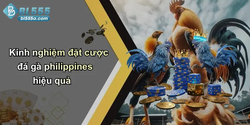 Kinh nghiệm đặt cược đá gà philippines hiệu quả