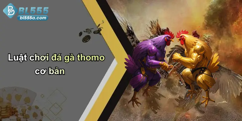 Luật chơi đá gà thomo cơ bản
