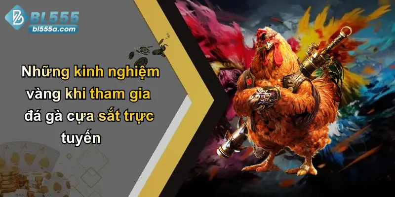 Những kinh nghiệm vàng khi tham gia đá gà cựa sắt trực tuyến