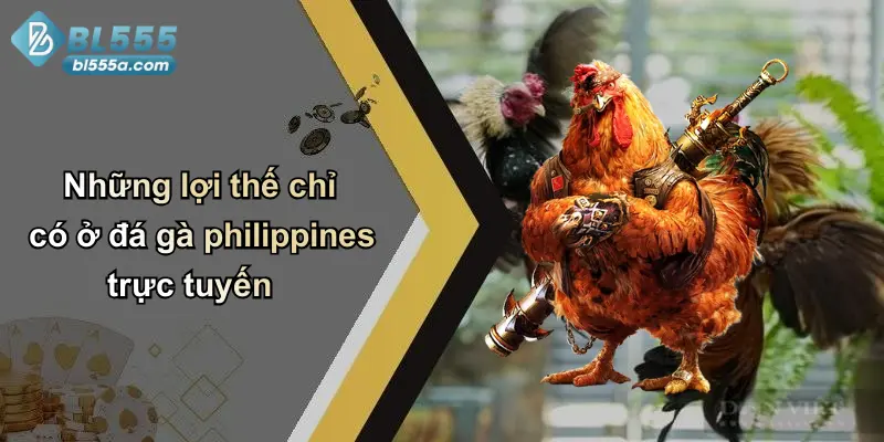 Những lợi thế chỉ có ở đá gà philippines trực tuyến