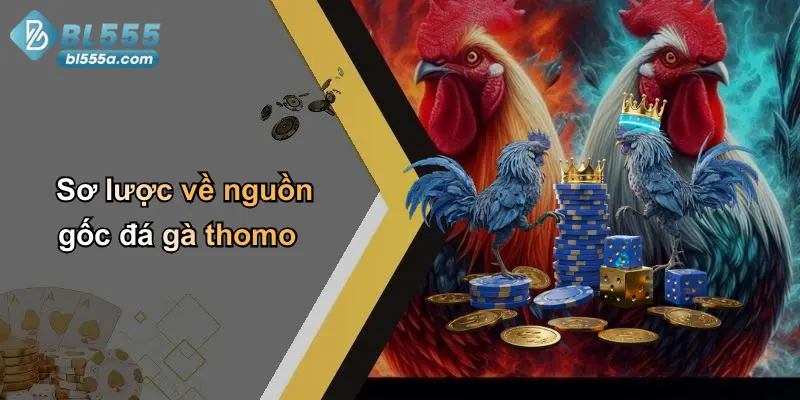 Sơ lược về nguồn gốc đá gà thomo