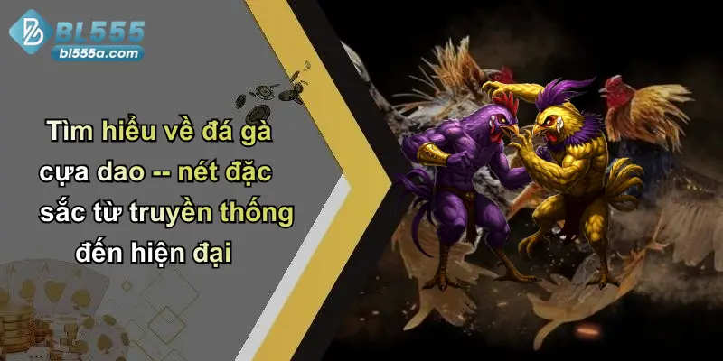 Tìm hiểu về đá gà cựa dao – nét đặc sắc từ truyền thống đến hiện đại