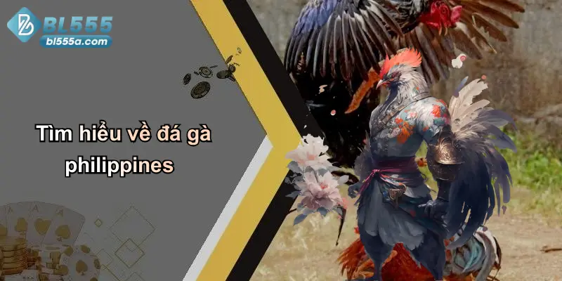 Tìm hiểu về đá gà philippines